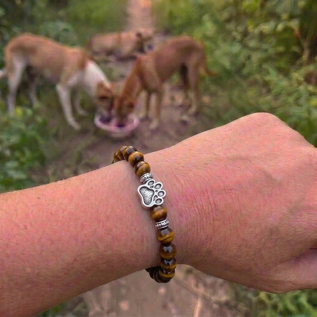 Armband – Tigeröga